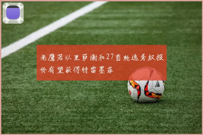 老鹰若以里萨谢和27首轮选秀权报价有望获得特雷墨菲