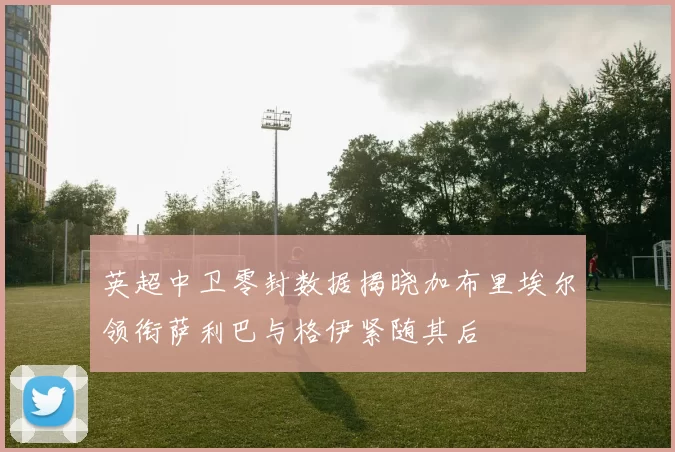 英超中卫零封数据揭晓加布里埃尔领衔萨利巴与格伊紧随其后
