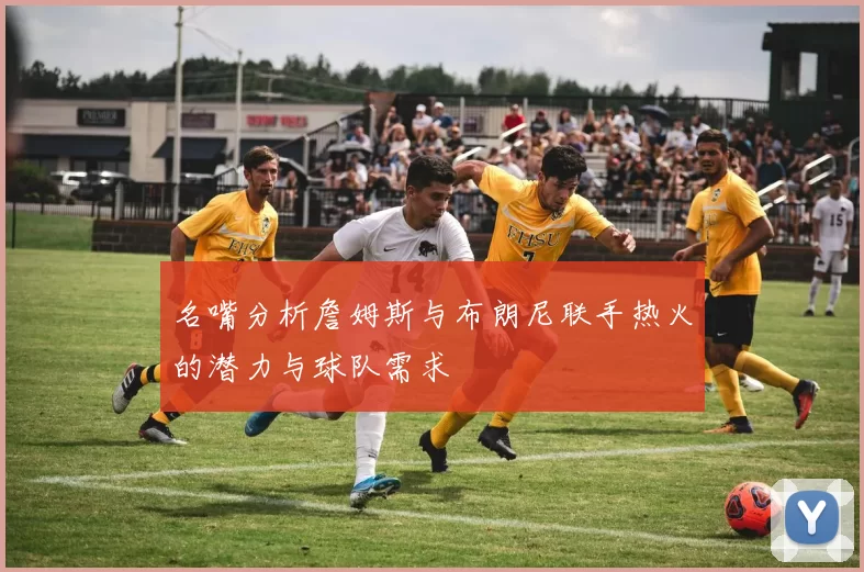 名嘴分析詹姆斯与布朗尼联手热火的潜力与球队需求