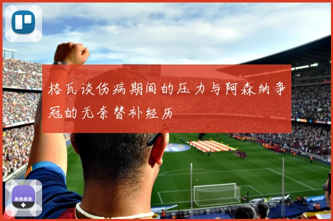 格瓦谈伤病期间的压力与阿森纳争冠的无奈替补经历